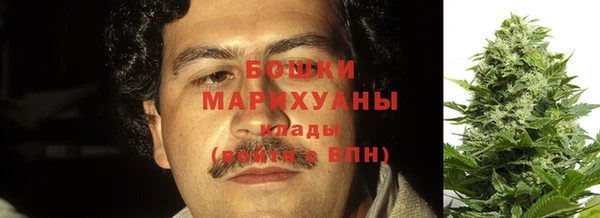 молекула духа Белоозёрский