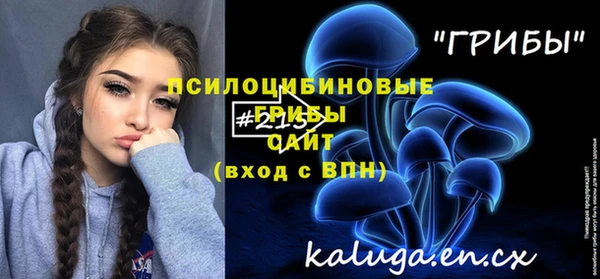 mdpv Белокуриха