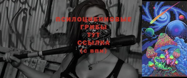 молекула духа Белоозёрский