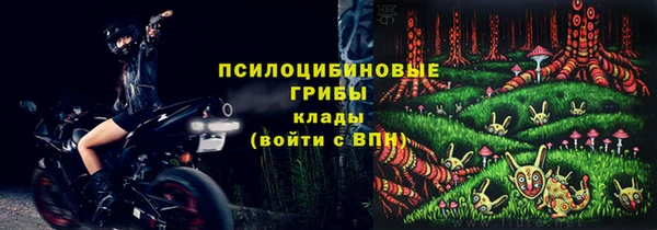 молекула духа Белоозёрский