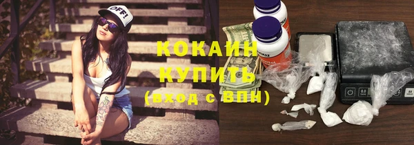 дмт Богданович