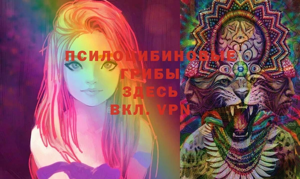 молекула духа Белоозёрский