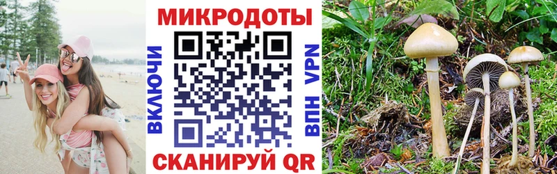 Галлюциногенные грибы Psilocybine cubensis  где найти наркотики  Севск 